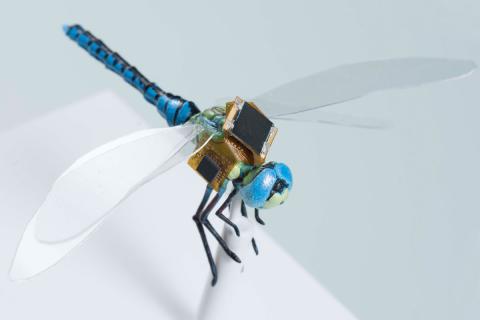 A first generation backpack guidance system that includes energy harvesting, navigation & optical stimulation on a to-scale model of a dragonfly